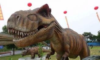 恐龙模型新品爆料视频大全,视频大全带你领略史前巨兽风采 第3张 恐龙模型新品爆料视频大全,视频大全带你领略史前巨兽风采 第3张