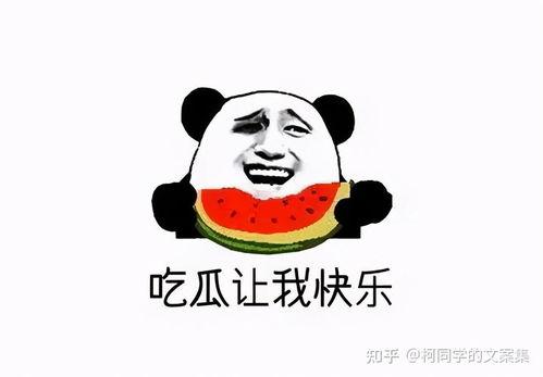 吃瓜群众免费吃,全民狂欢！揭秘吃瓜群众福利盛宴