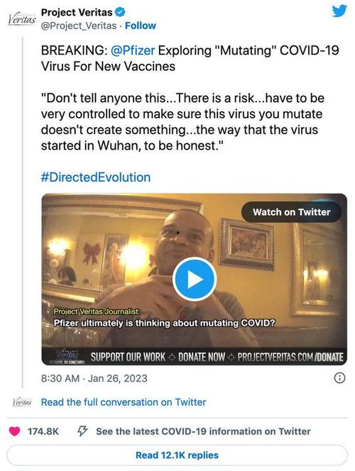 辉瑞高管爆料视频 第1张 辉瑞高管爆料视频 第1张